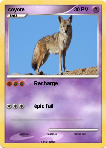 Pokemon coyote