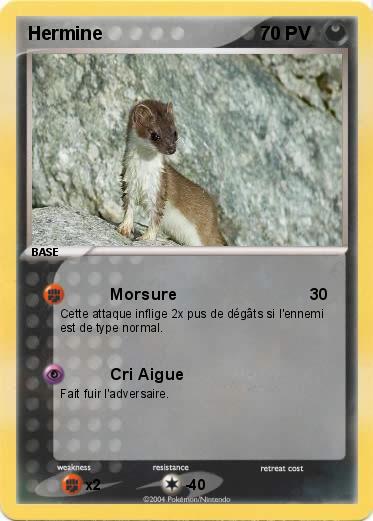 Pokemon Hermine