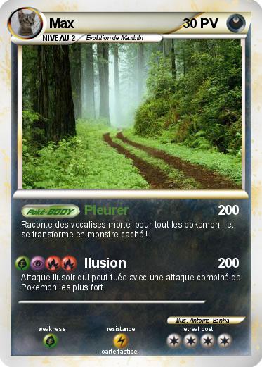 Pokemon Max