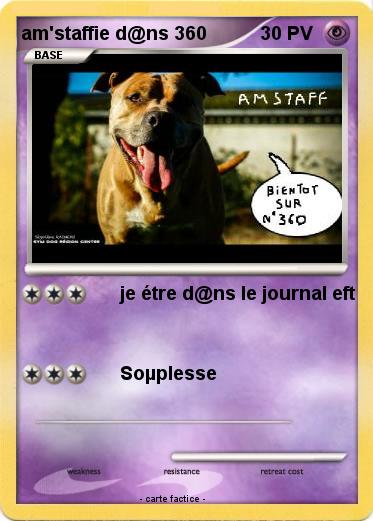 Pokemon am'staffie d@ns 360