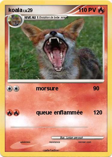 Pokemon koala