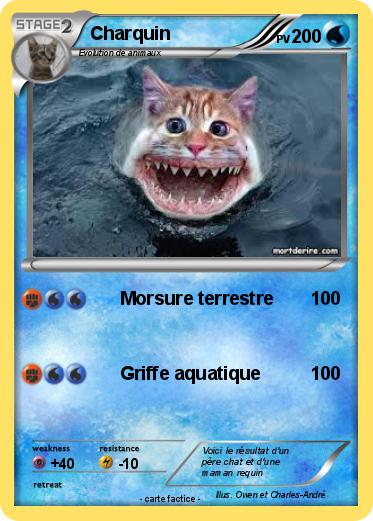 Pokemon Charquin