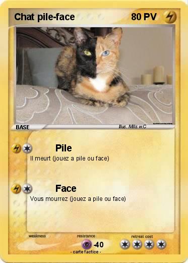 Pokemon Chat pile-face