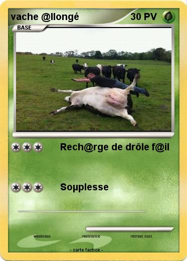 Pokemon vache @llongé