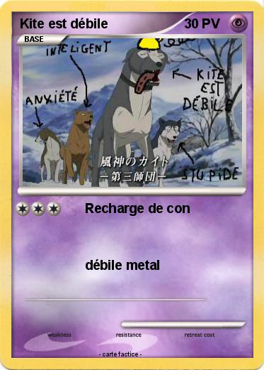 Pokemon Kite est débile