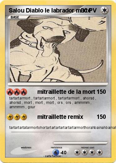 Pokemon Salou Diablo le labrador mixte