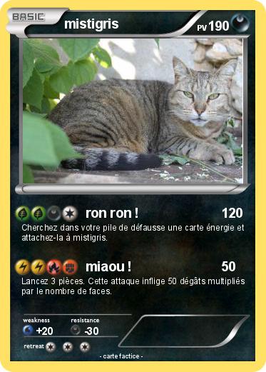Pokemon mistigris
