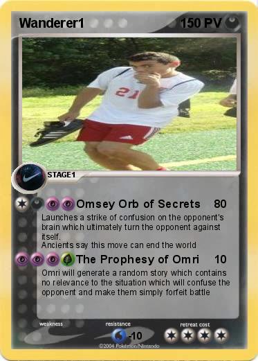 Pokemon Wanderer1