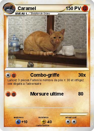 Pokemon Caramel