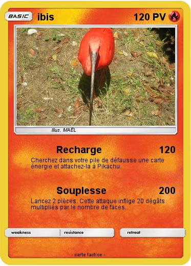 Pokemon ibis