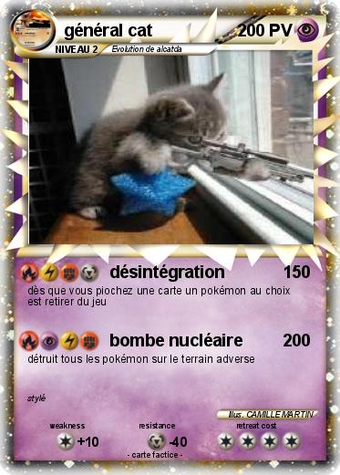 Pokemon général cat