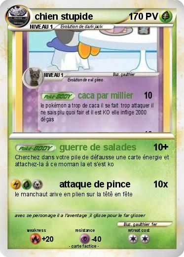 Pokemon chien stupide