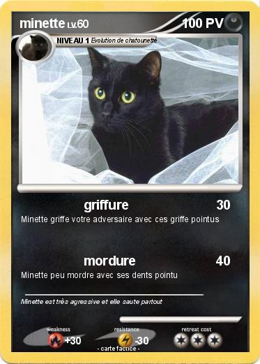 Pokemon minette