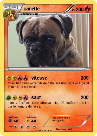 Pokemon canelle
