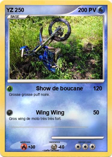 Pokemon YZ 250