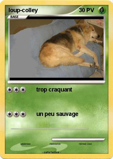 Pokemon loup-colley