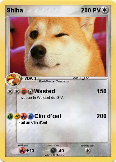 Pokemon Shiba