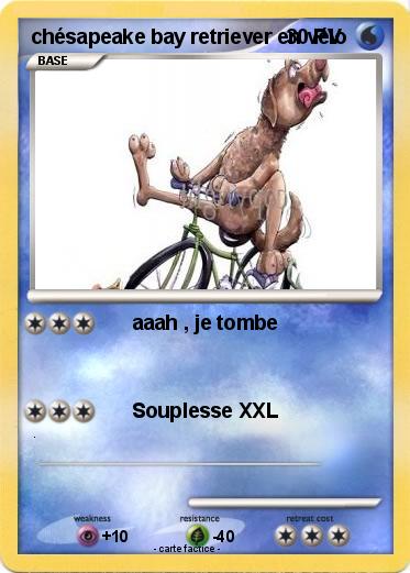 Pokemon chésapeake bay retriever en vélo