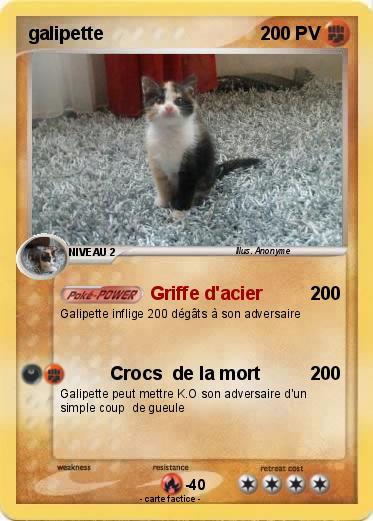 Pokemon galipette
