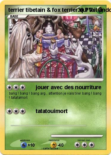 Pokemon terrier tibetain & fox terrier qui fait andouille