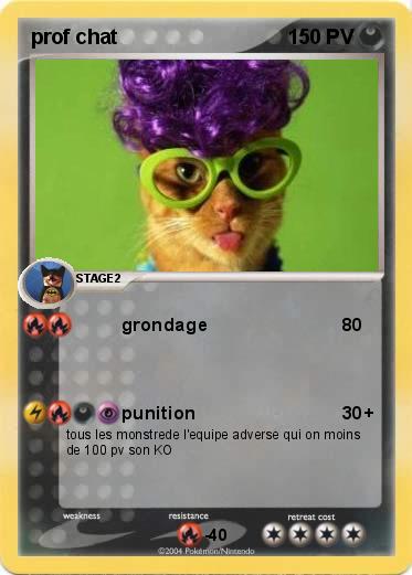 Pokemon prof chat 