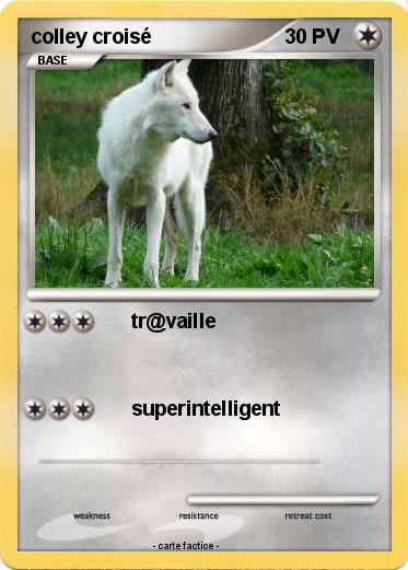 Pokemon colley croisé