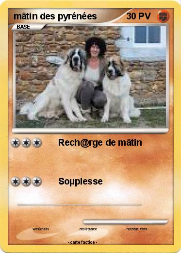 Pokemon mâtin des pyrénées