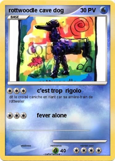 Pokemon rottwoodle cave dog