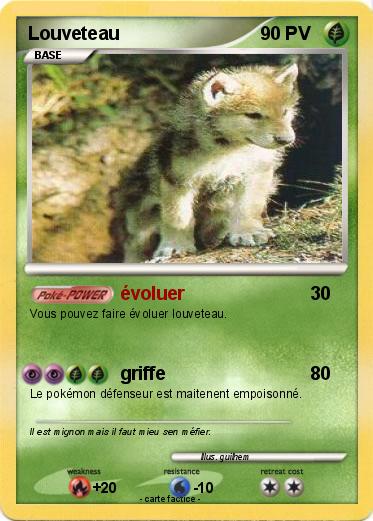 Pokemon Louveteau