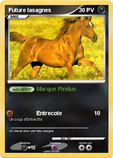 Pokemon Future lasagnes