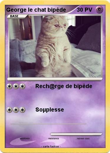 Pokemon George le chat bipède