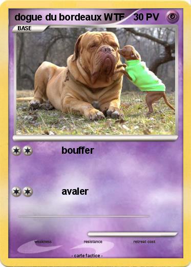 Pokemon dogue du bordeaux WTF