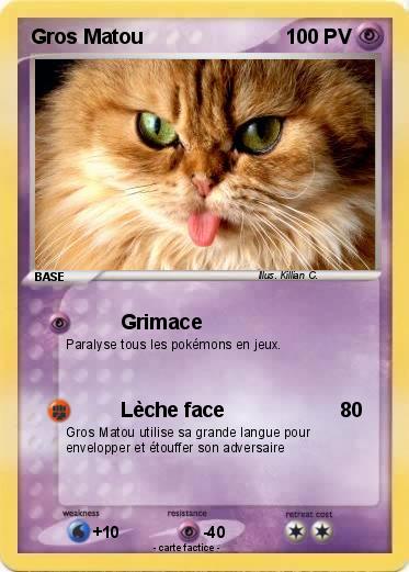 Pokemon Gros Matou