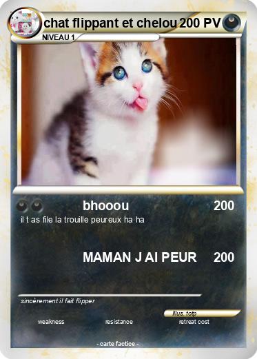 Pokemon chat flippant et chelou