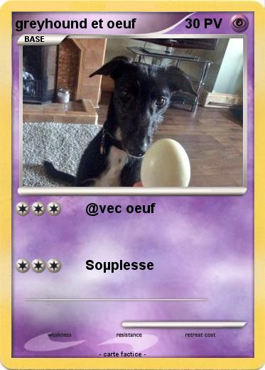 Pokemon greyhound et oeuf