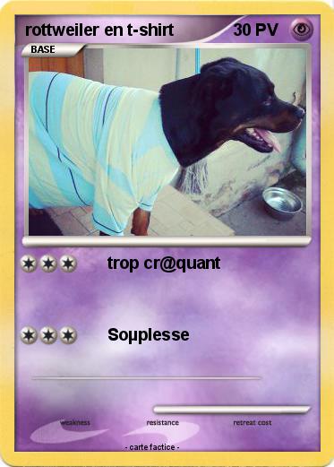 Pokemon rottweiler en t-shirt
