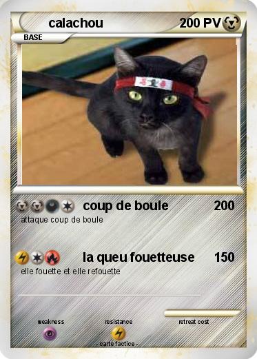 Pokemon calachou