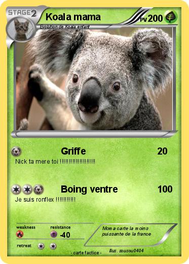 Pokemon Koala mama