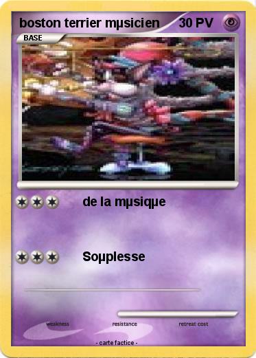 Pokemon boston terrier mµsicien