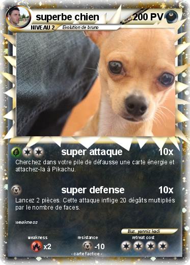 Pokemon superbe chien