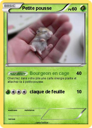 Pokemon Petite pousse