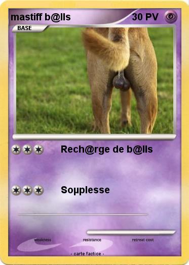 Pokemon mastiff b@lls