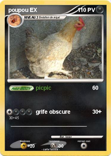 Pokemon poupou EX