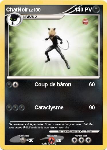 Pokemon ChatNoir