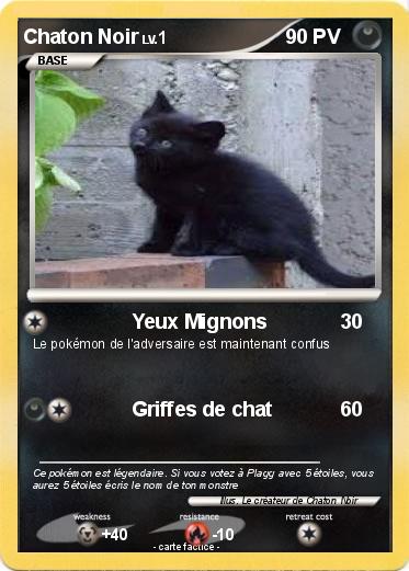 Pokemon Chaton Noir