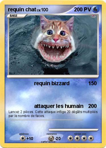 Pokemon requin chat