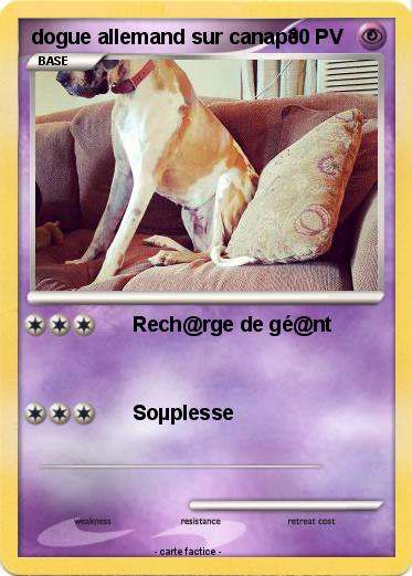 Pokemon dogue allemand sur canapé