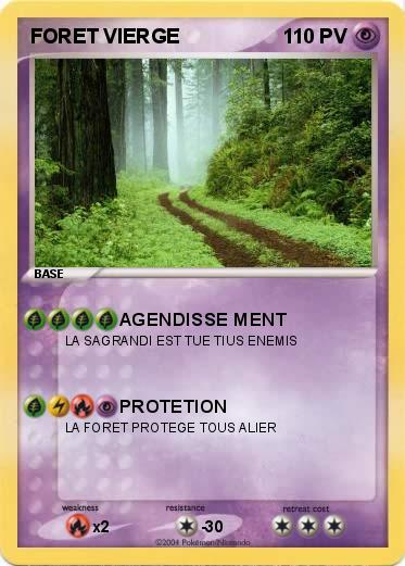 Pokemon FORET VIERGE