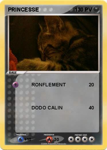 Pokemon PRINCESSE