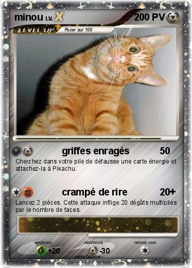 Pokemon minou